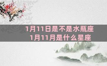 1月11日是不是水瓶座 1月11月是什么星座